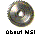  About MSI 